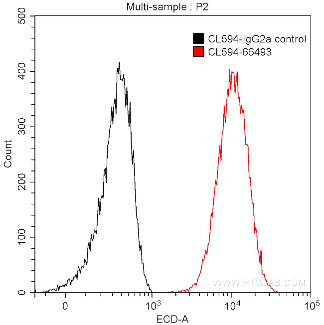 PKC iota Antibody in Flow Cytometry (Flow)