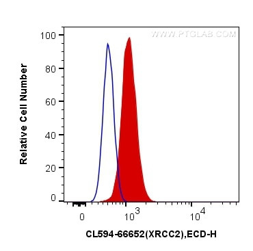 XRCC2 Antibody in Flow Cytometry (Flow)