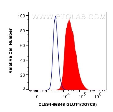 GLUT4 Antibody in Flow Cytometry (Flow)