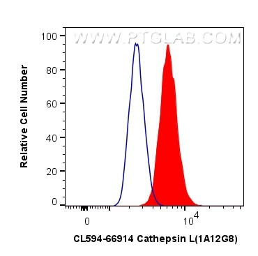 Cathepsin L Antibody in Flow Cytometry (Flow)