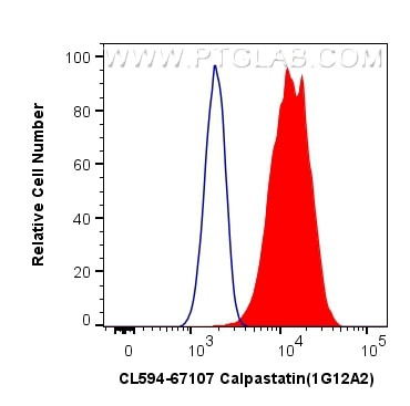 Calpastatin Antibody in Flow Cytometry (Flow)