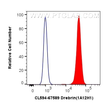 Drebrin Antibody in Flow Cytometry (Flow)