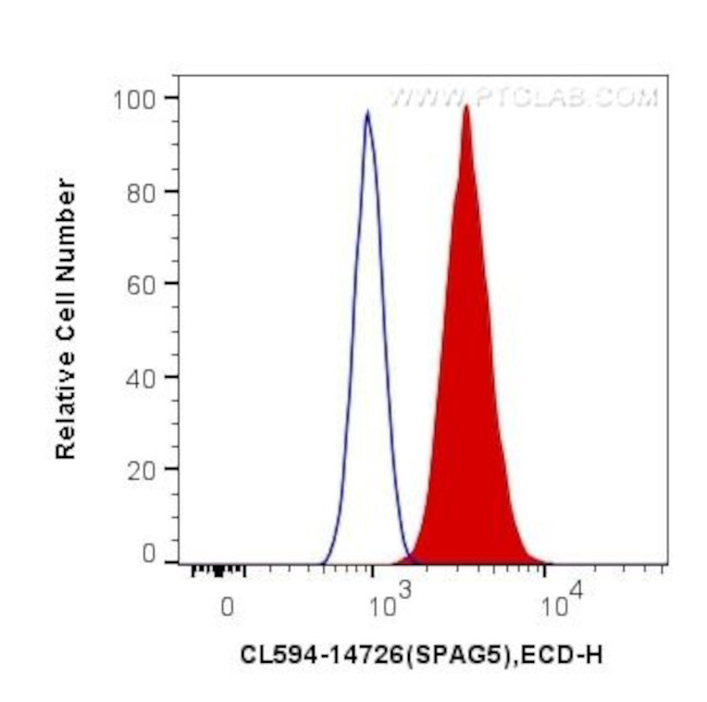 SPAG5 Antibody in Flow Cytometry (Flow)