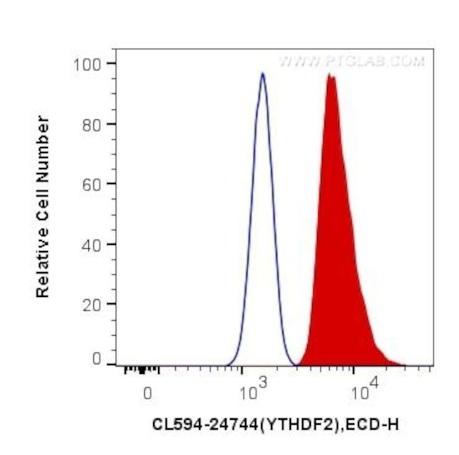 YTHDF2 Antibody in Flow Cytometry (Flow)