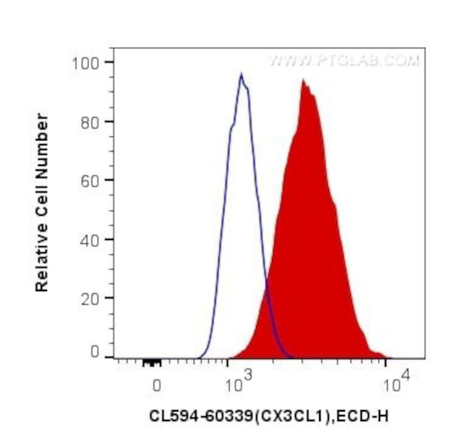 CX3CL1 Antibody in Flow Cytometry (Flow)