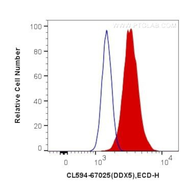 DDX5 Antibody in Flow Cytometry (Flow)