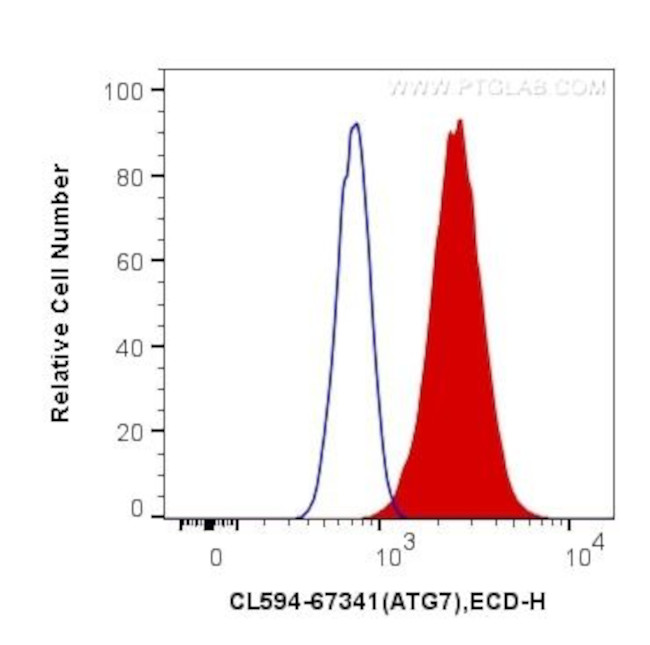 ATG7 Antibody in Flow Cytometry (Flow)