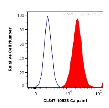 Calpain 1 Antibody in Flow Cytometry (Flow)