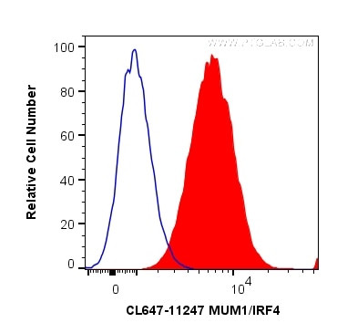 MUM1/IRF4 Antibody in Flow Cytometry (Flow)