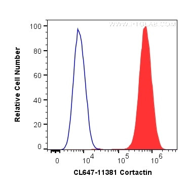 Cortactin Antibody in Flow Cytometry (Flow)