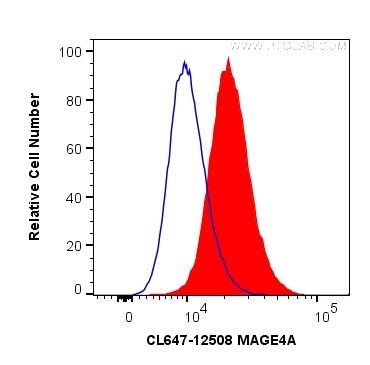 MAGEA4 Antibody in Flow Cytometry (Flow)