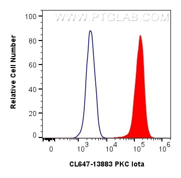 PKC Iota Antibody in Flow Cytometry (Flow)