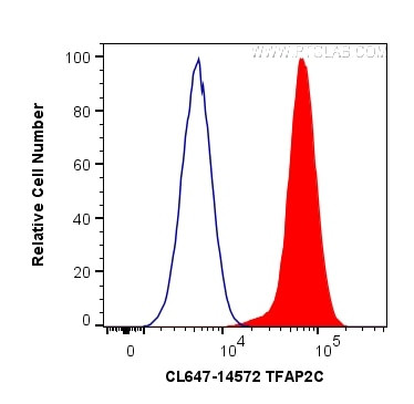 TFAP2C Antibody in Flow Cytometry (Flow)