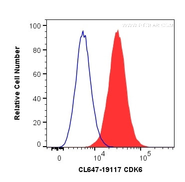 CDK6 Antibody in Flow Cytometry (Flow)