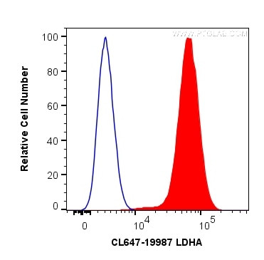 LDHA Antibody in Flow Cytometry (Flow)