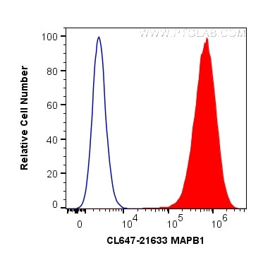 MAP1B Antibody in Flow Cytometry (Flow)