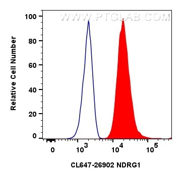 NDRG1 Antibody in Flow Cytometry (Flow)