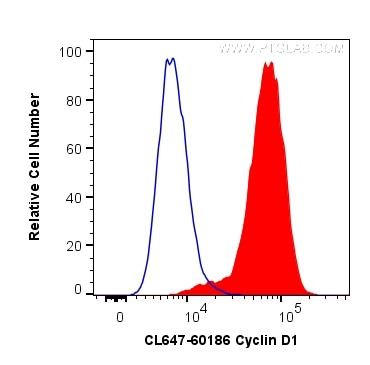 Cyclin D1 Antibody in Flow Cytometry (Flow)