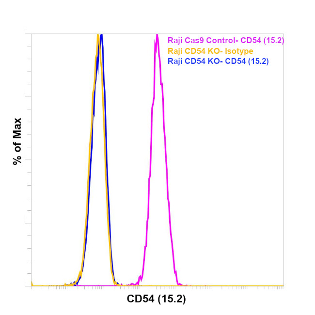 CD54 (ICAM-1) Antibody