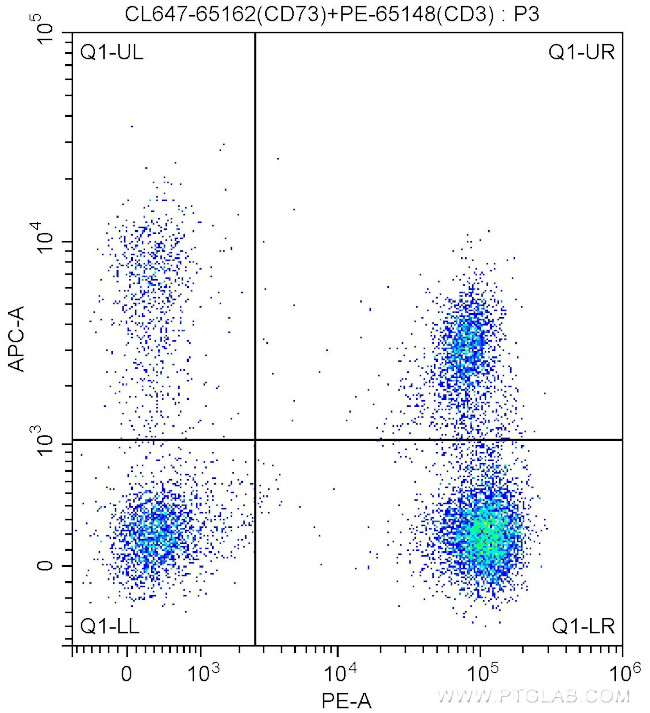 CD73 Antibody in Flow Cytometry (Flow)