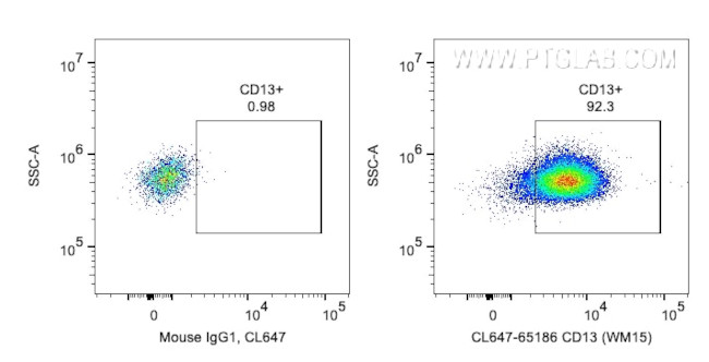 CD13 Antibody in Flow Cytometry (Flow)