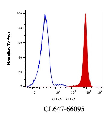 Lamin B1 Antibody in Flow Cytometry (Flow)