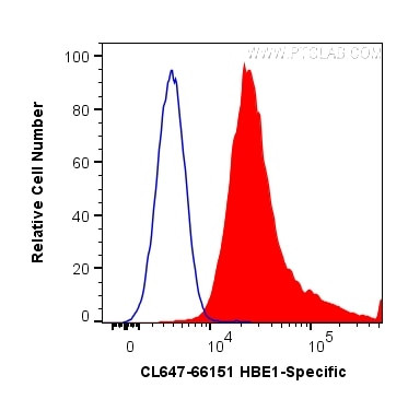 HBE1 Antibody in Flow Cytometry (Flow)