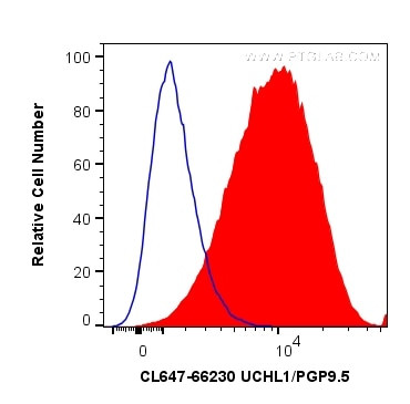 UCHL1/PGP9.5 Antibody in Flow Cytometry (Flow)