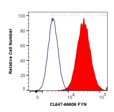 FYN Antibody in Flow Cytometry (Flow)