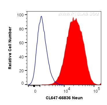 NeuN Antibody in Flow Cytometry (Flow)