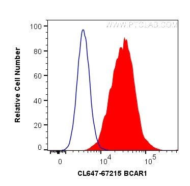 BCAR1 Antibody in Flow Cytometry (Flow)