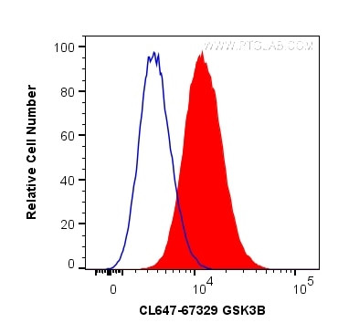 GSK3B Antibody in Flow Cytometry (Flow)