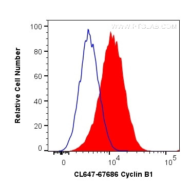 cyclin B1 Antibody in Flow Cytometry (Flow)