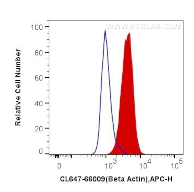 Beta Actin Antibody in Flow Cytometry (Flow)