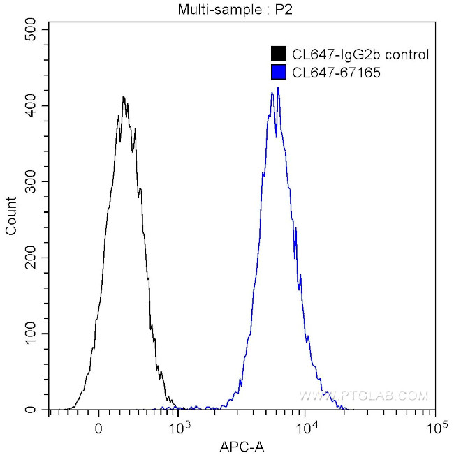 HDAC2 Antibody in Flow Cytometry (Flow)