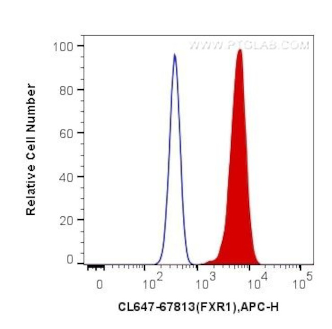 FXR1 Antibody in Flow Cytometry (Flow)