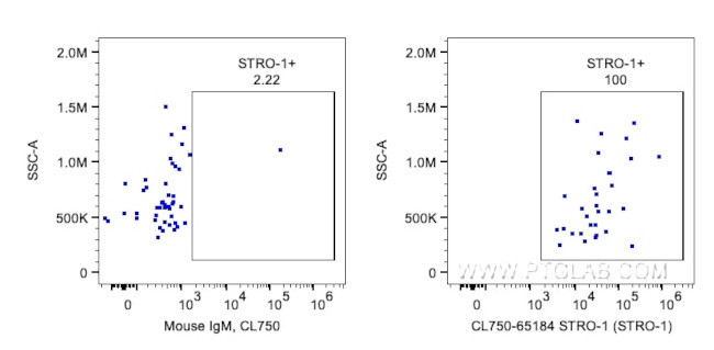 STRO-1 Antibody in Flow Cytometry (Flow)