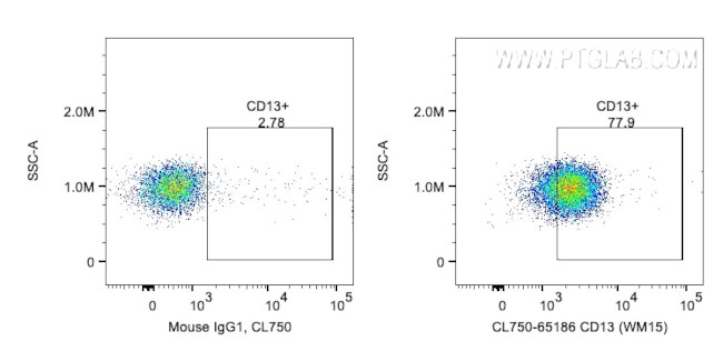 CD13 Antibody in Flow Cytometry (Flow)