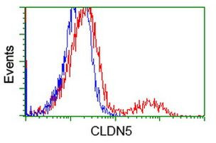 CLDN5 Antibody in Flow Cytometry (Flow)