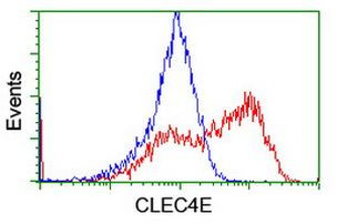 CLEC4E Antibody in Flow Cytometry (Flow)