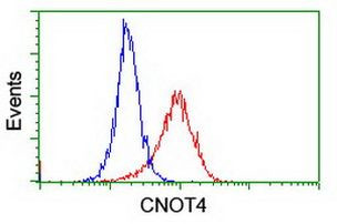 CNOT4 Antibody in Flow Cytometry (Flow)