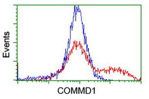 COMMD1 Antibody in Flow Cytometry (Flow)