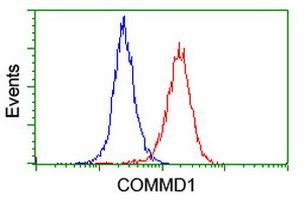 COMMD1 Antibody in Flow Cytometry (Flow)