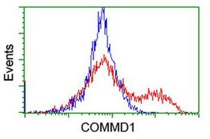 COMMD1 Antibody in Flow Cytometry (Flow)