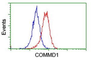 COMMD1 Antibody in Flow Cytometry (Flow)