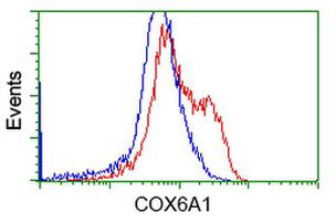 COX6A1 Antibody in Flow Cytometry (Flow)