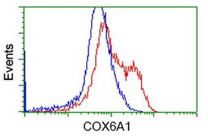 COX6A1 Antibody in Flow Cytometry (Flow)