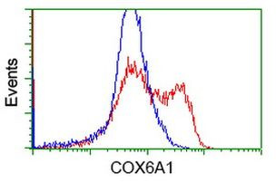 COX6A1 Antibody in Flow Cytometry (Flow)