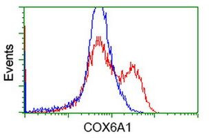 COX6A1 Antibody in Flow Cytometry (Flow)