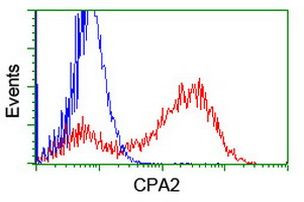 CPA2 Antibody in Flow Cytometry (Flow)